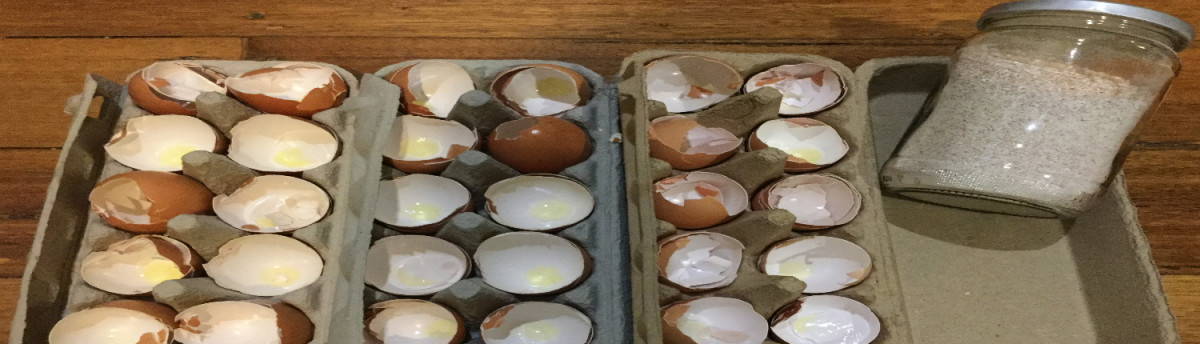 Egg Shells 2_1500x430_V1 - Copy - Copy