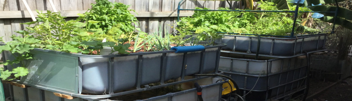 Wicking Bed 9_1500x430_V1